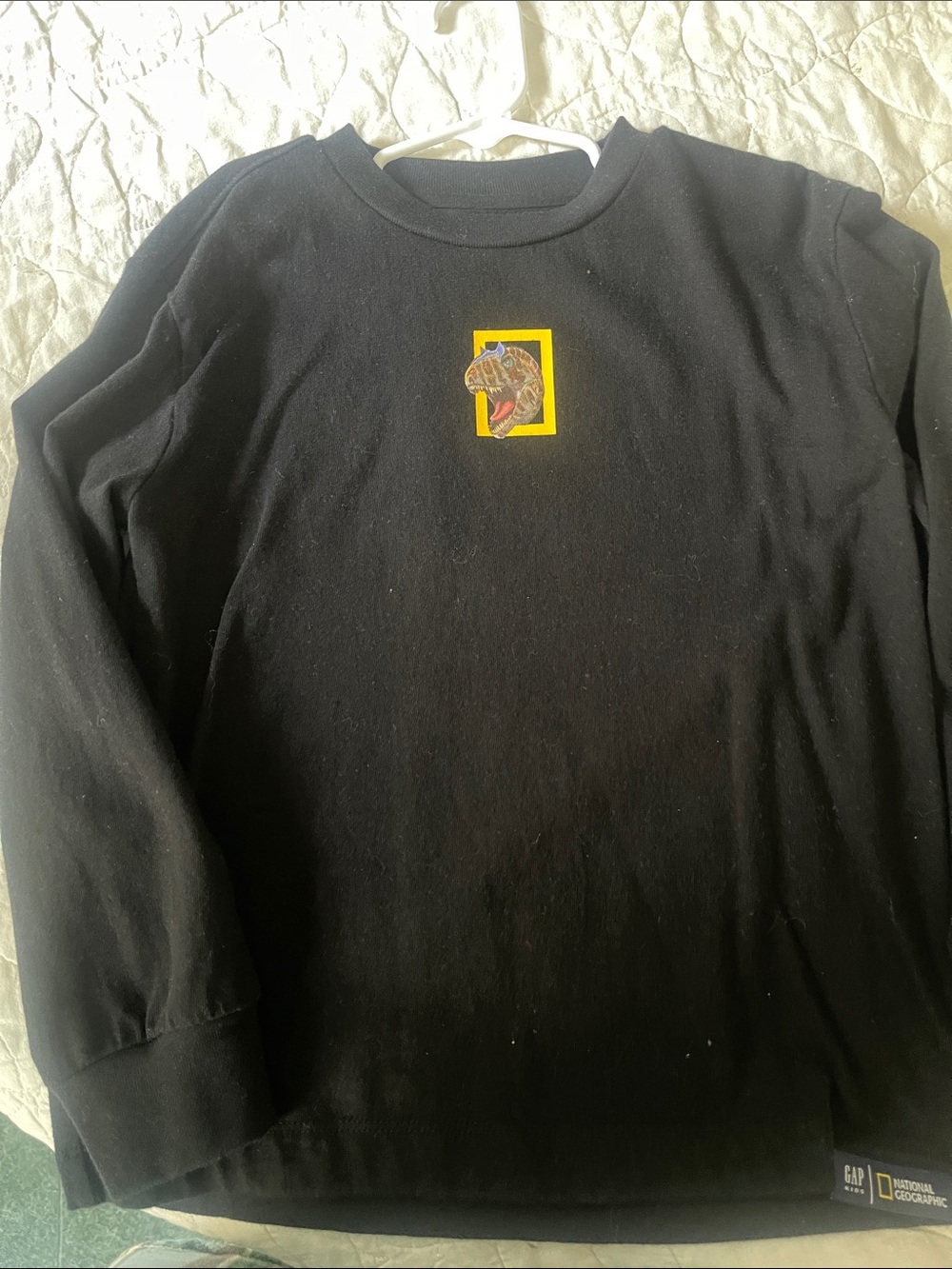 GAP National Geographic Black Long Sleeve Tee and Dinosaur Patch